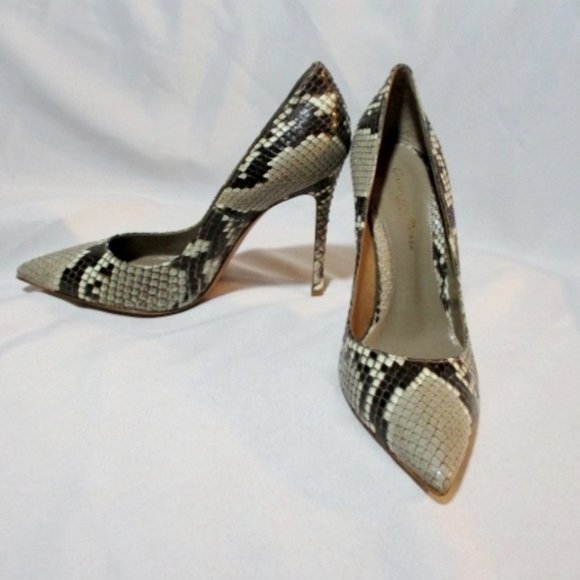 NEW GIANVITO ROSSI PITONE WILD ROCCIA PYTHON Pump